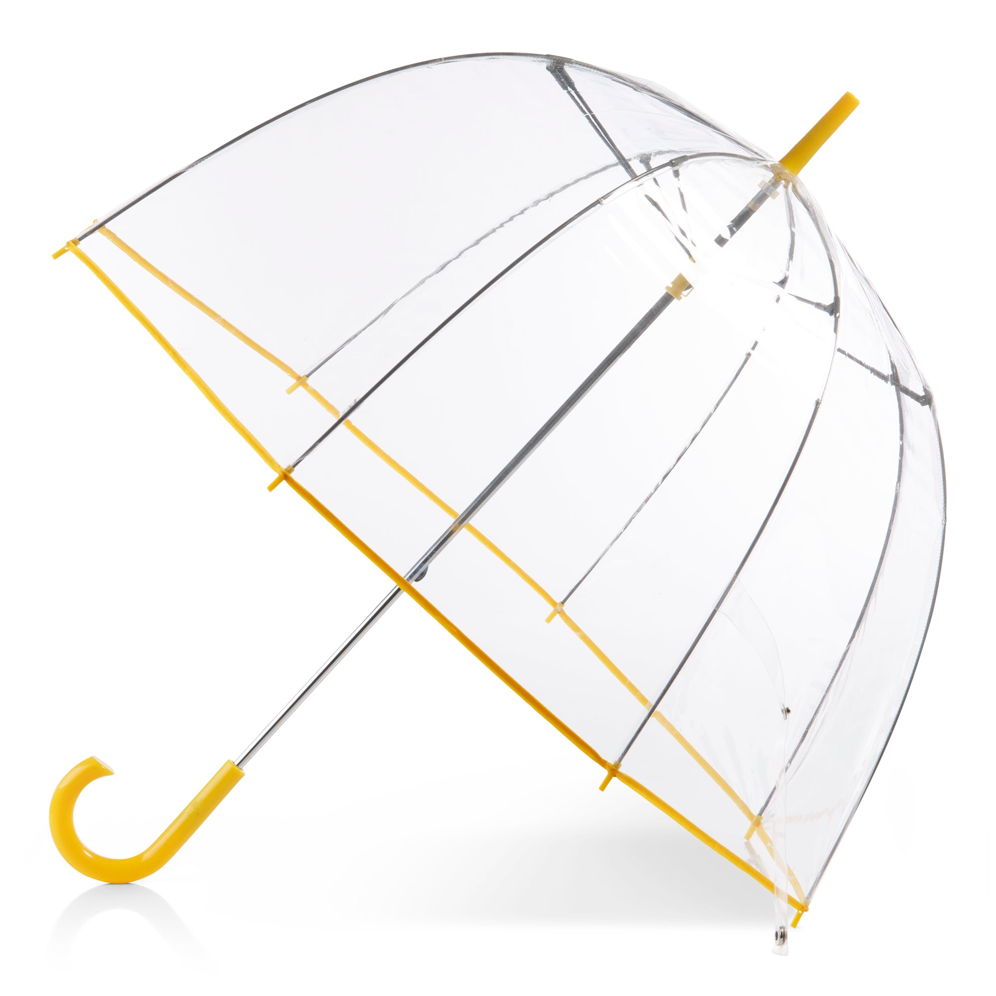 Clear Bubble Umbrella with Colorful Accents